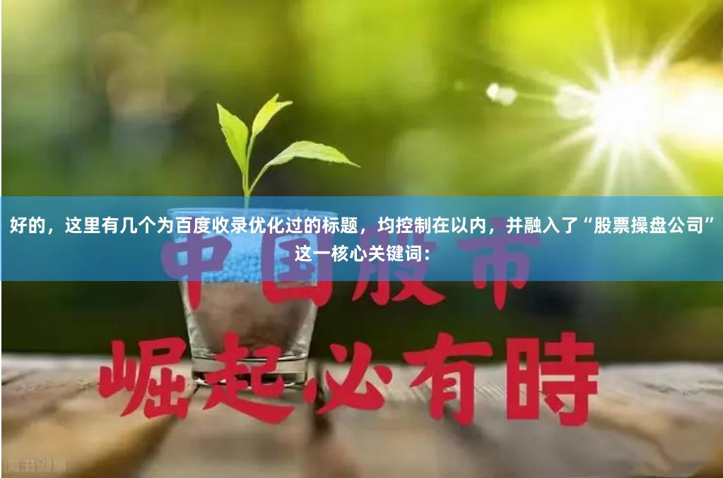 好的，这里有几个为百度收录优化过的标题，均控制在以内，并融入了“股票操盘公司”这一核心关键词：