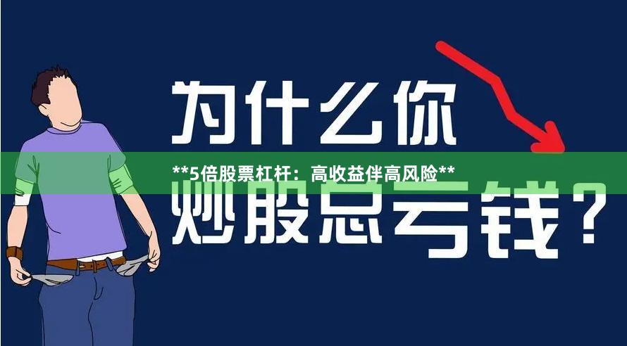 **5倍股票杠杆：高收益伴高风险**