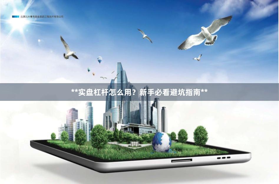 **实盘杠杆怎么用？新手必看避坑指南**